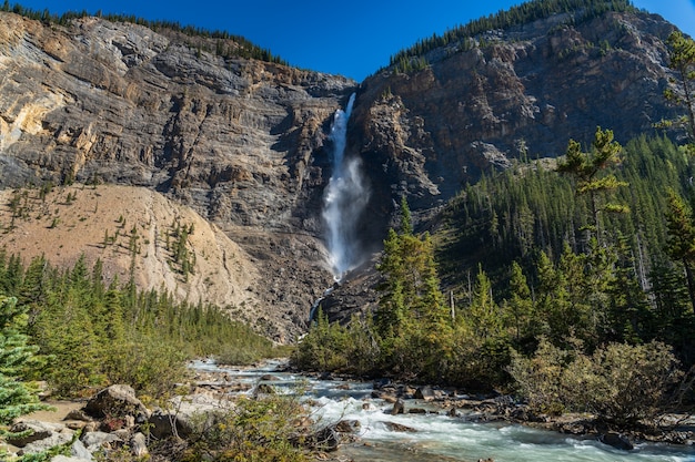 Takakkaw Falls e Yoho River no verão