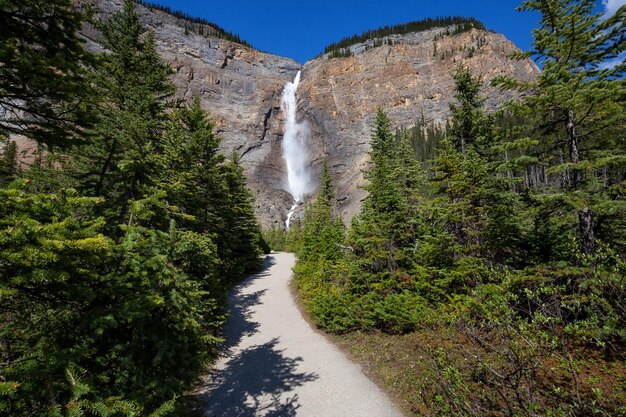 Takakkaw Falls im Yoho National Park an einem lebhaften sonnigen Sommertag