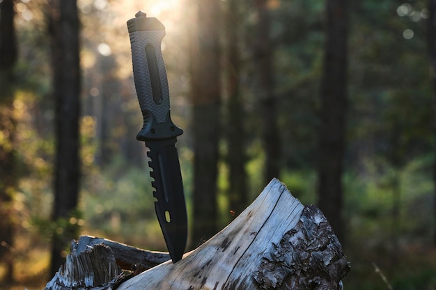 Taktisches Touristenmesser steckte in Baumstumpf vor Sonnenuntergang im Wald