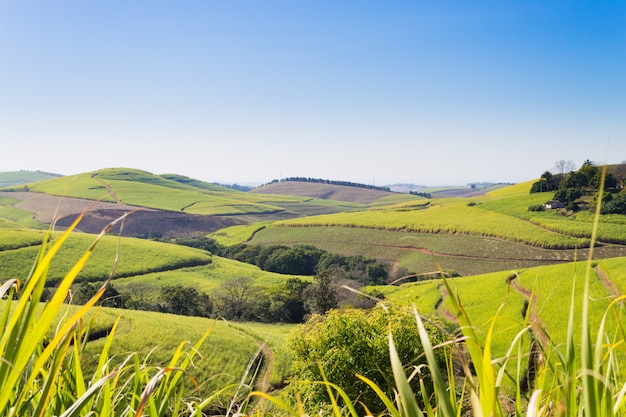 Tal der tausend Hügel nahe Durban, Südafrika