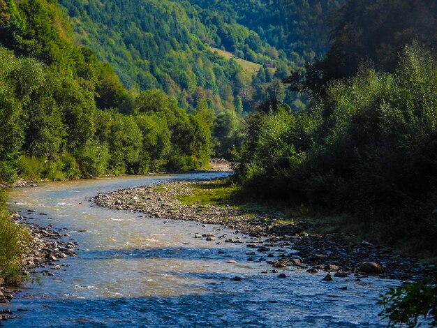 Foto tal des flusses iza-maramures