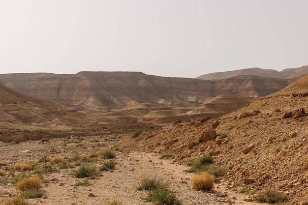 Tal und Felsen in der Judäischen Wüste in Israel