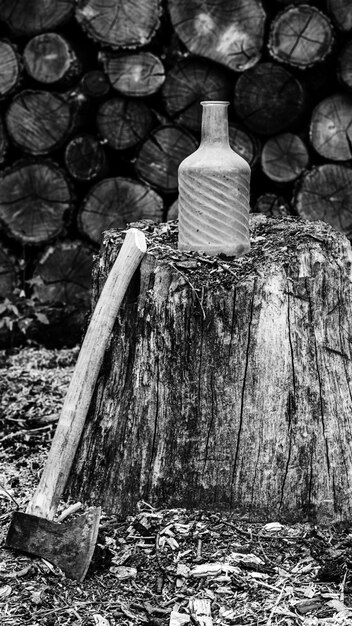 Talar madera con cuña y hacha