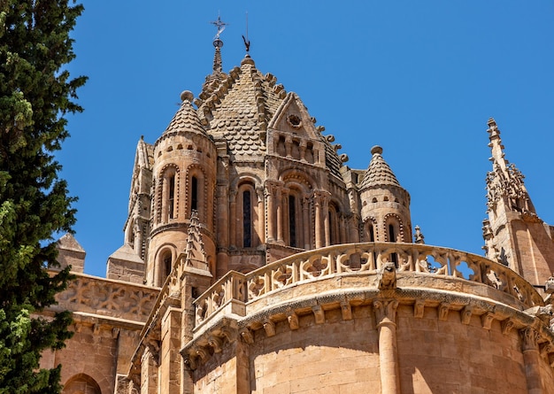 Tallas ornamentadas y campanario de la Catedral Vieja de Salamanca