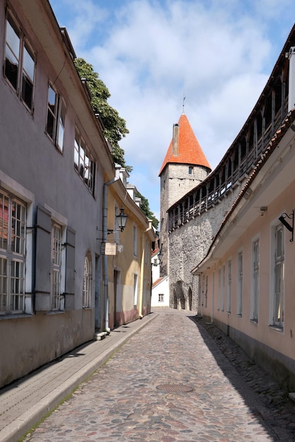 Tallin, Estonia, arquitectura antigua. Antiguas casas tradicionales por la muralla de la ciudad con torre. Fortificaciones medievales europeas. Arquitectura tradicional báltica Brillante día de verano, nadie alrededor.