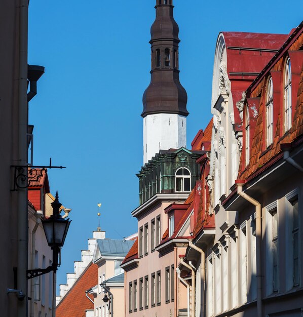 Tallin