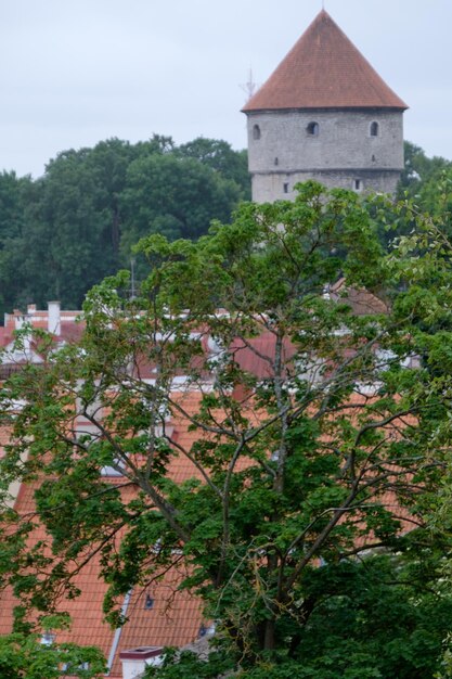 Foto tallinn, na estónia.