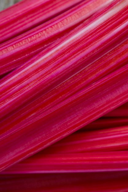 Tallos de mangold rojo como fondo con textura de alimentos