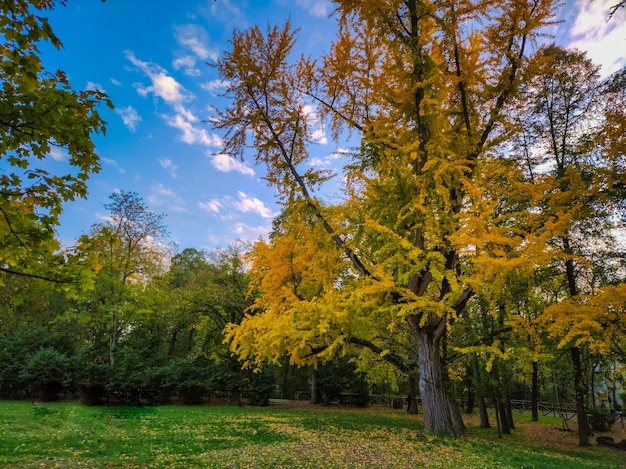 Foto talon park parco della chiusa perto da cidade de bolonha em um outono no final da tarde