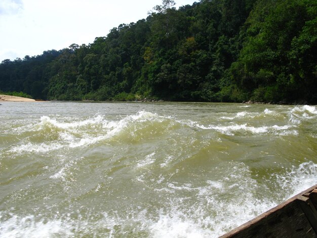 Taman Negara ist der Nationalpark Malaysias