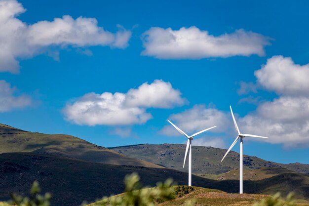 También los aerogeneradores embellecen el paisaje de nuestros campos pero contrastan evidentemente con el natural