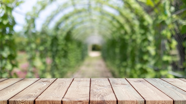 Tampo da mesa de madeira vazio e árvore verde turva e hortaliças no fundo de fazendas agrícolas - pode ser usado para exibir ou montar seus produtos.