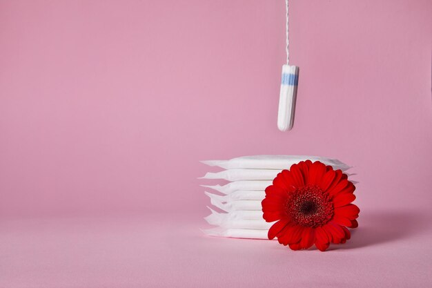 Tampons aus Baumwolle für die Menstruation und rote Blume