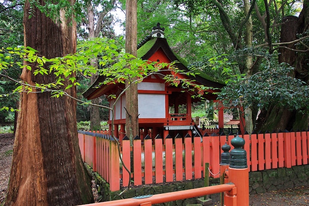 Foto tamukeyama hachimangu shrine, nara, japão