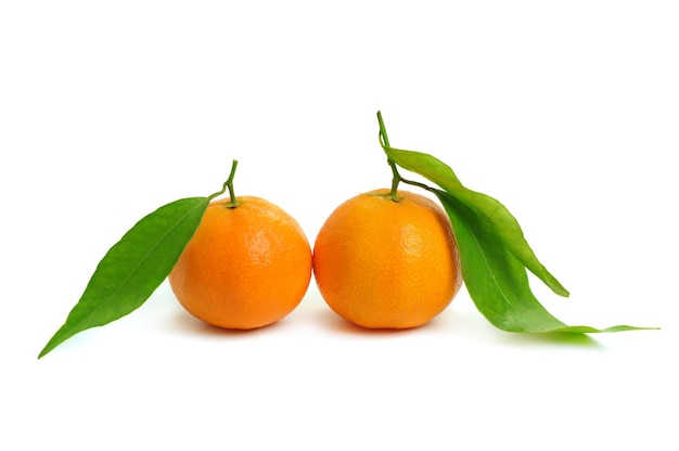 tangerina isolada