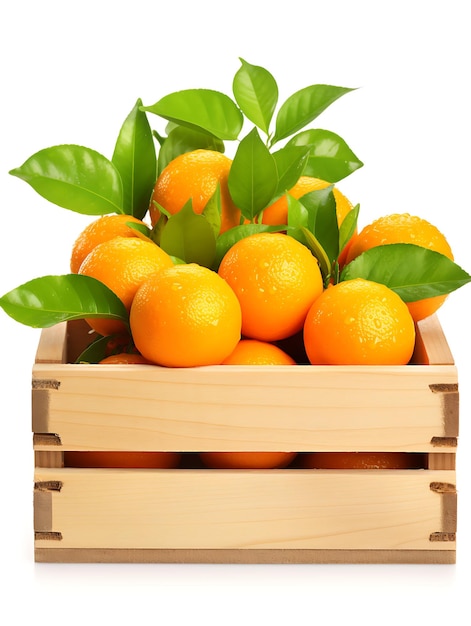 Tangerinas com folhas em caixa de madeira sobre fundo branco