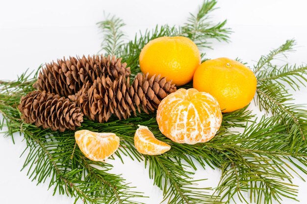 tangerinas de natal com ramos de abeto e cones em um fundo branco