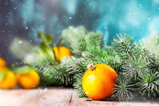 Tangerinas e galhos de árvores de abeto