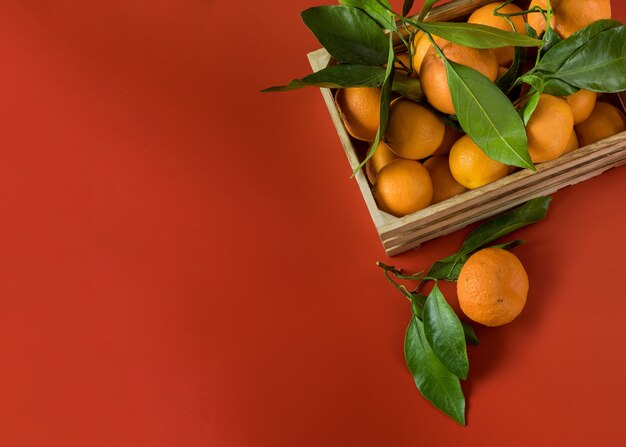 Tangerinas laranja com folhagem verde na cesta de madeira em um vermelho