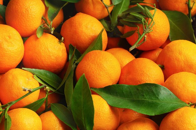 Tangerinas laranjas tangerinas clementinas frutas cítricas