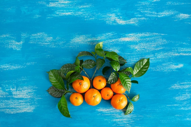 Tangerinas maduras com folhas verdes em um fundo azul brilhante