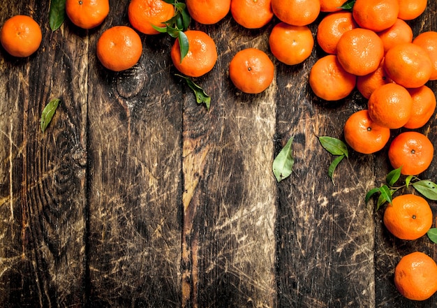 Tangerinas maduras com folhas.