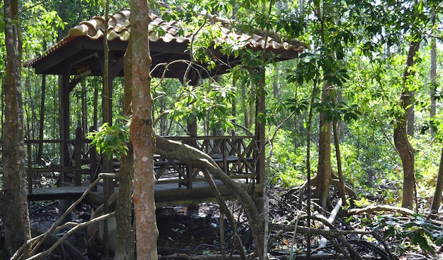 Tanjung Piai Mangroven-Sumpfwald Johor Malaysia Spitze des asiatischen Kontinents