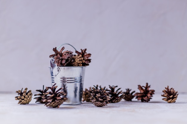 Tannenzapfen in verzinktem Eimer, Winterstillleben