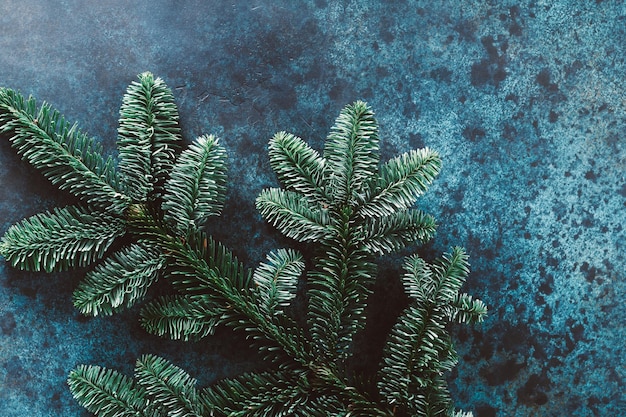 Tannenzweig auf blau gestrichenem Hintergrund Flach Draufsicht Kopierbereich Weihnachts- und Neujahrskonzept