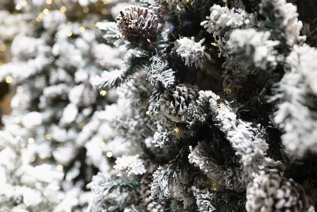 Tannenzweige im Schnee mit Weihnachtsgirlanden Nahaufnahme frohe Weihnachten und guten Rutsch ins neue Jahr Konzept