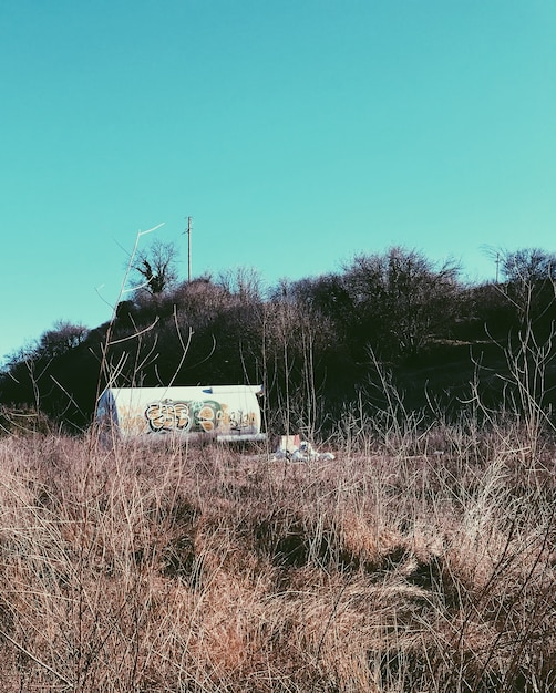 Tanque abandonado en un bosque