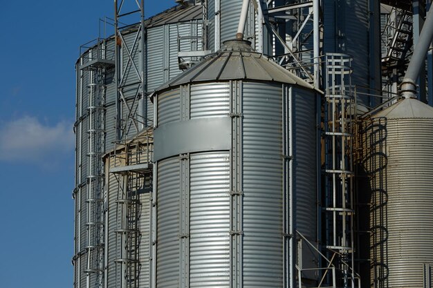 Tanques terminales de granos modernos del elevador Almacenamiento de secado de granos Silos de semillas de cultivos comerciales