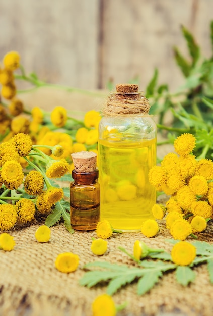 Tansy extracto medicinal, tintura, decocción, aceite, en una pequeña botella.