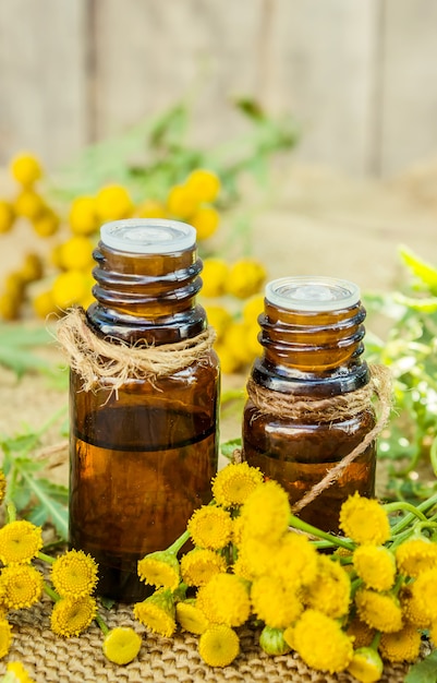 Tansy extracto medicinal, tintura, decocción, aceite, en una pequeña botella.