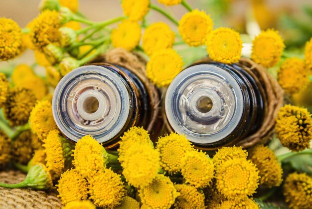 Tansy extracto medicinal, tintura, decocción, aceite, en una pequeña botella.