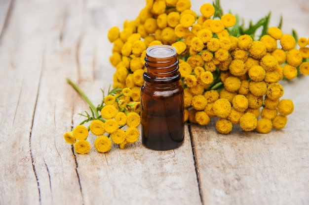 Tansy extracto medicinal, tintura, decocción, aceite, en una pequeña botella.