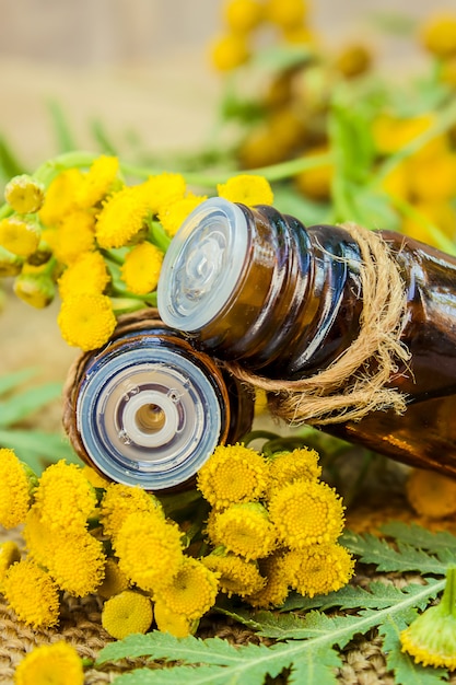 Tansy extrato medicinal, tintura, decocção, óleo, em uma pequena garrafa.