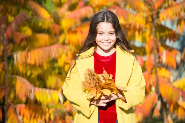 Tão bonita. menina elegante com casaco de outono. previsão do tempo. folhas caídas na floresta. fundo da natureza do outono. moda temporada escolar. criança feliz ao ar livre. menina com folha de plátano. caminhando no parque.