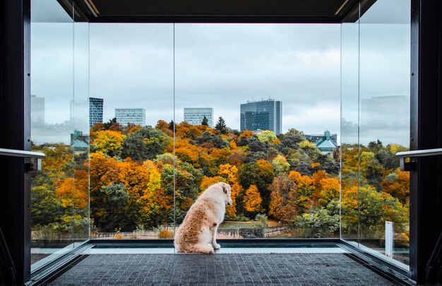 Foto tão curioso.