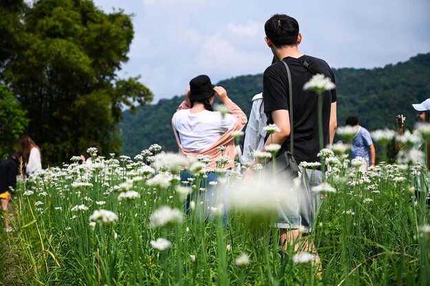 Taoyuan Taiwán SEP 08 2019 Personas en el campo de flores de cebollino chino