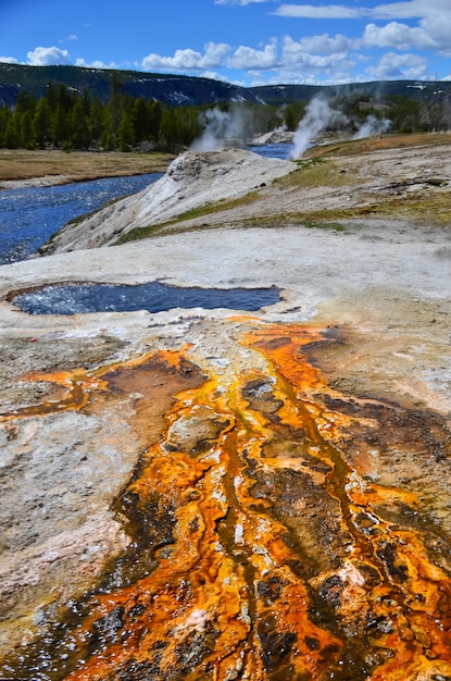 Tapetes algas-bacterianos. Fonte termal quente, piscina quente no parque nacional de Yellowstone. Wyoming, EUA