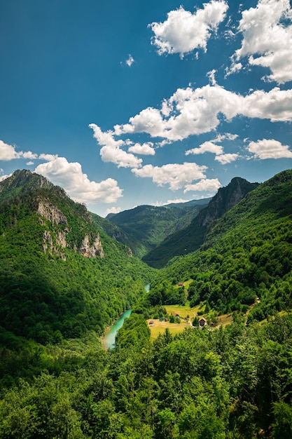 Tara Canyon Bela vista das montanhas verdes Fotografia interior incrível com uma paisagem pacífica