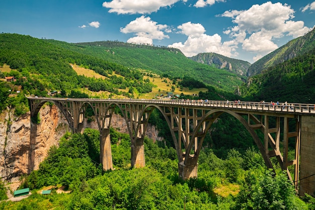 Tara Canyon Bela vista das montanhas verdes Ponte de pedra sobre o canyon Incrível fotografia interior com uma paisagem pacífica