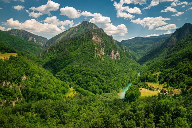 Tara Canyon Schöne Aussicht auf die grünen Berge Unglaubliche Innenaufnahmen mit einer friedlichen Landschaft