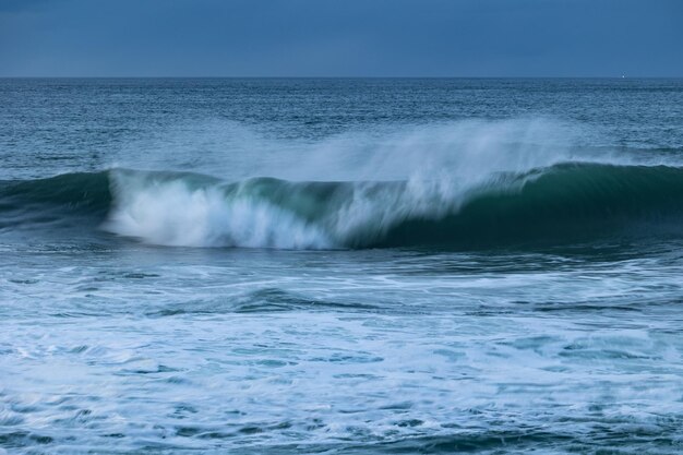 ¡Una tarde en la cornisa cantábrica con paisajes, fauna y olas!