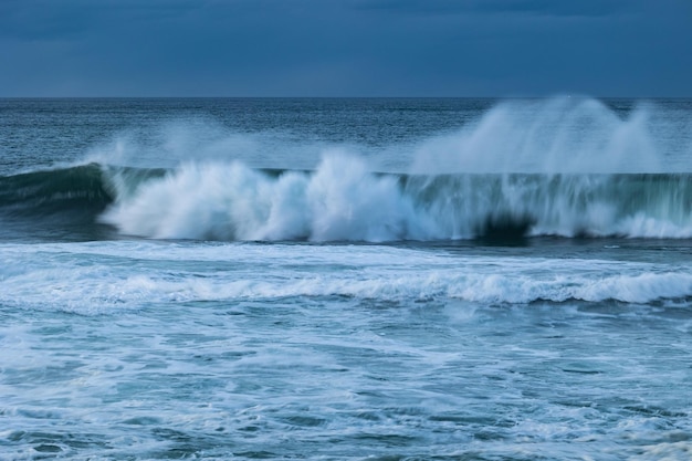 ¡Una tarde en la cornisa cantábrica con paisajes, fauna y olas!