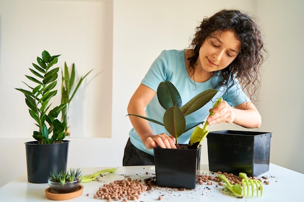 Tareas domésticas para trasplantar flores en una maceta nueva Una niña se dedica a las flores en un apartamento luminoso