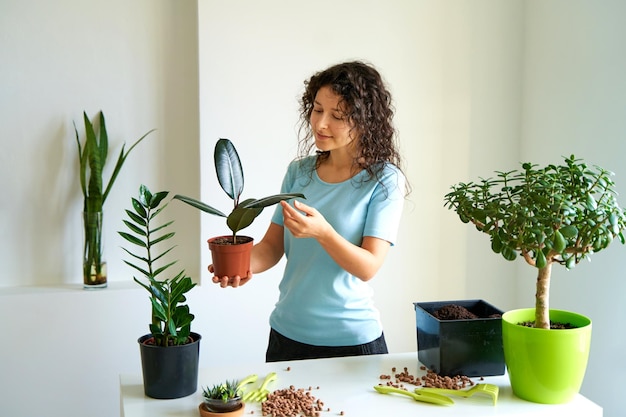 Tarefas domésticas para transplantar flores em um novo vaso. uma jovem está envolvida em flores em um apartamento brilhante.