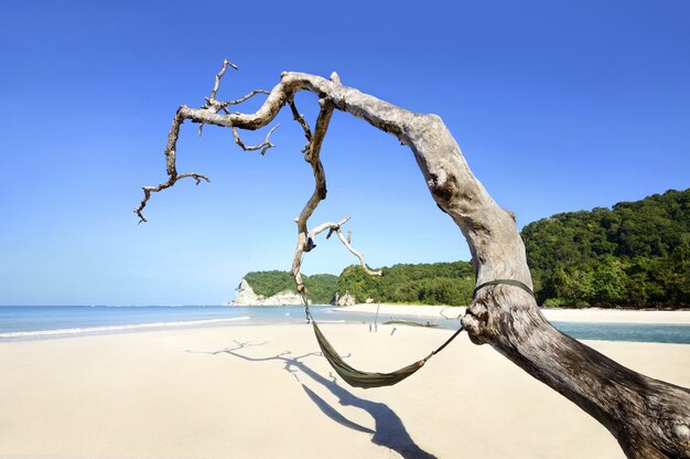 Tarimbang Beach, Sumba, Indonesien