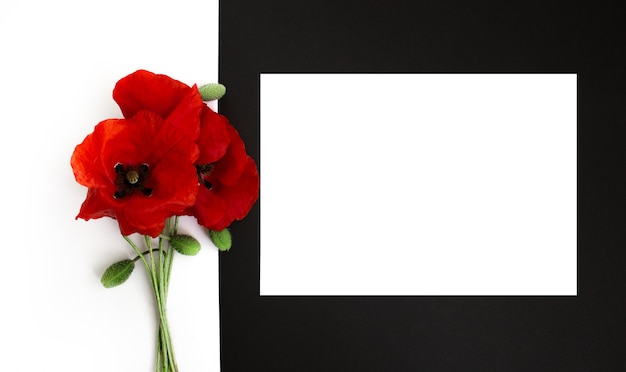 Tarjeta en blanco blanca con flores de amapolas rojas sobre fondo negro marco floral saludo creativo